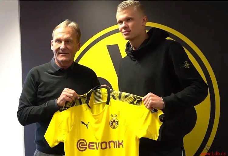 中超末轮前瞻：上海双雄冲击冠军，海牛、梅州争保级最后席位（中超收官战前瞻：上海双雄冲冠，海牛与梅州抢保级最后名额）